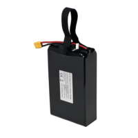 Аккумулятор Mason Power 360 Втч/кг с высокой плотностью энергии, 67000 мАч, 67 Ач, 22.2 В, 6S, 10C, твердотельный LiPo для тяжелых грузовых БПЛА/VTOL дронов