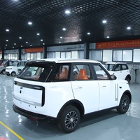 Véhicule électrique compact SUV pour adultes, haute puissance, nouvelle énergie, voiture électrique pure, en promotion