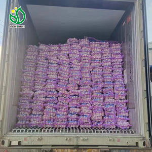 <span class=keywords><strong>Ajo</strong></span> Fresco de China, <span class=keywords><strong>Precio</strong></span> al por Mayor de Caja de 10 kg, Bolsa de 200 g, Proveedor de <span class=keywords><strong>Ajo</strong></span> <span class=keywords><strong>Elefante</strong></span> - Product Image 3