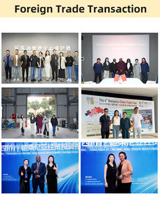 Revêtement Liquide Décoratif Durable pour Murs Extérieurs de Bâtiments, Peinture Imperméable en Résine Polymère pour Bâtiments, Peinture pour Sols en <span class=keywords><strong>Pierre</strong></span> Lavée et Marbre - Product Image 6