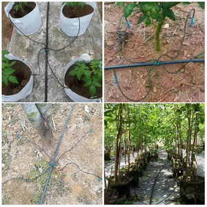 Sistema di irrigazione <span class=keywords><strong>a</strong></span> <span class=keywords><strong>goccia</strong></span> d'acqua da giardino per gruppo di distribuzione Bonsai Dripper freccia <span class=keywords><strong>a</strong></span> gomito - Product Image 4