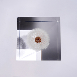 קישוט שולחן עבודה משובץ אקריליק בצורת שן הארי, קישוט לבית, דגימת פרח מיובש, מתנה מיוחדת - Product Image 6