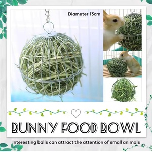 Porte-boule d'herbe pour petits animaux de compagnie en acier inoxydable Lapin Cochon d'Inde Porc hollandais Support d'herbe Boule - Product Image 5