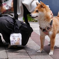 Pochette portable pour friandises pour chien avec mousqueton, sac de rangement étanche imprimé pour collations d'animaux, mini sac à récompenses d'entraînement à fermeture éclair