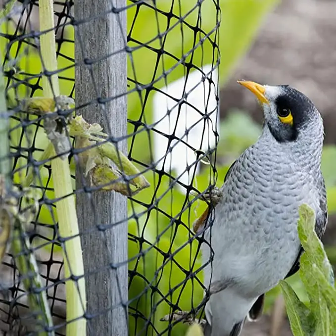 مكافحة الطيور السنجاب الغزلان قابلة لإعادة الاستخدام شباك حماية ل الخضار ، الفاكهة الأشجار و النباتات الأخرى