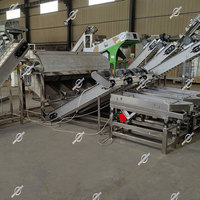 Chine Usine Équipement Ligne de production Pistache Noix Graines de sésame Cacahuète Amande Noisette Macadamia Machine de traitement