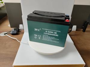 12V 45AH 유지보수가 필요없는 6-EVF-45 납산 딥 사이클 배터리 - Product Image 6