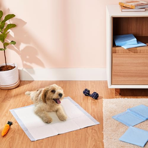 5/67/8-Layer Extra Absorbent Dog Pee Pads 60x60cm Super Thick Pet Urine Mats with Quick Dry Surface Options Pet Pee Pad - Product Image 3