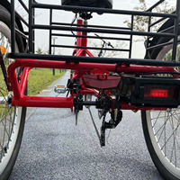 Bicicleta triciclo elétrica adulto, 3 rodas, triciclo elétrico, 350w, hub, bateria de lítio para venda em eua