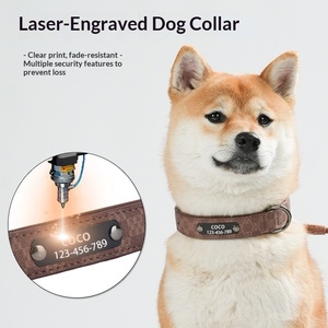 Retro luxe gepersonaliseerde anti-verloren lederen hondenhalsband met letterplaatje voor grote, middelgrote en kleine honden - Product Image 3