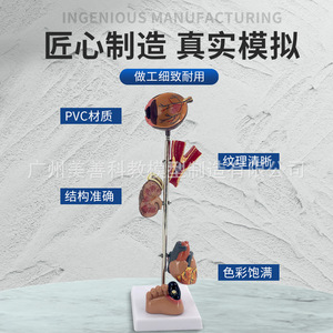 11 11 11 - Product Image 1
