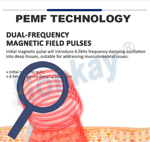 Máquina de Terapia PEMF de Escritorio, Bucle PEMF para Lesiones Deportivas, Alivio del Dolor, Cuidado de la Salud Animal, Fisioterapia, Clínica en Casa - Product Image 3