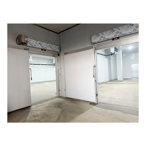 Chambre froide de stockage et de réfrigération, entrepôt frigorifique de 100 à 1000 tonnes, chambre de congélation rapide pour viande, poisson, poulet, oignon, légumes, fruits - Product Image 2