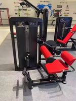 Machine de musculation pour l'extension dorsale, équipement de salle de sport commercial pour l'entraînement des muscles du dos