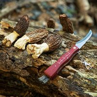 Couteau à champignons OdenPeak en acier au carbone avec brosse et sac - Manche en bois de haute qualité - Excellent cadeau pour les collectionneurs de champignons