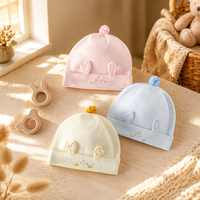 Bonnet pour bébé de 0 à 3 mois, double couche en coton doux, respectueux de la peau, motif de dessin animé, casquette printemps-automne