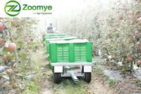 Zoomye Bin Train Bin Trailer : Remorque de transport pour la récolte en verger, compacte et flexible pour routes complexes