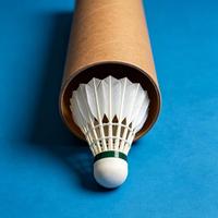 Volant de badminton léger, hautement élastique, 5g, stable, durable, professionnel, hybride, en plumes de canard, tête en liège, niveau tournoi