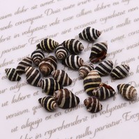 En vrac en gros bricolage sans trou conque trompette coquille bijoux perles blanc et noir 10x15mm 1728338