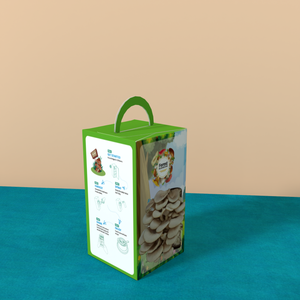 Boîte d'emballage en carton ondulé pour kit <span class=keywords><strong>de</strong></span> culture <span class=keywords><strong>de</strong></span> champignons, boîtes en papier pour la culture <span class=keywords><strong>de</strong></span> champignons d'huître biologiques - Product Image 5