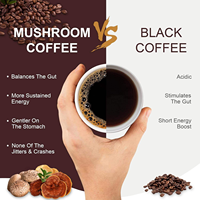 Poudre de café instantané aux champignons de qualité supérieure OEM, mélange adaptogène de café matcha, stimulant cérébral, soutien immunitaire pour la concentration et la santé intestinale