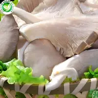 Funghi di ostriche IQF sfusi cinesi surgelati di alta qualità con prezzo di fabbrica