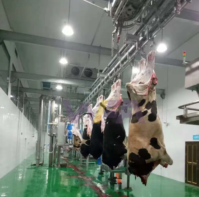 Inek kesim ekipmanları hattı için kanca ile uluslararası lal düz raylı sığır mezbaha makinesi