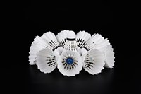 Volant de Badminton professionnel, boule de plumes d'oie, blanc, pour sport, tournoi, absorbant