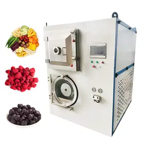 Small 10kg Freeze Food Dried Vegetable Machine Compact Freezer Vacuum Lyophilizer Freeze Dryer