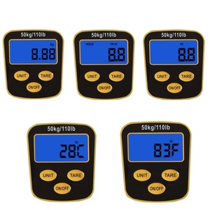 50KG multifonction Portable Mini balance de poisson électronique outil de pesage de pêche accessoire à usage domestique - Product Image 5