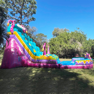 Wholesale <b>large</b> outdoor kids bounce house with pool 20ft <b>inflatable</b> whimsical water slide commercial - Product Image 3