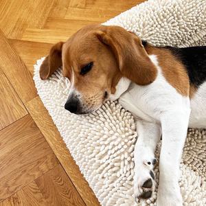 Cama de Lujo Personalizada para Perros Grandes, Sofá Acogedor para Mascotas, Tela Firecracker, Suave, Transpirable y Ortopédica, Fabricante de Camas para Mascotas - Product Image 5