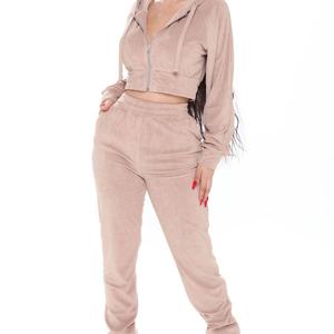 Conjunto Deportivo de Terciopelo para Mujer, 2 Piezas, Sudadera con Cierre y Pantalones Jogger, Ropa Deportiva de Velour - Product Image 1