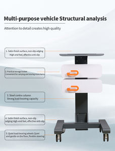4 पहियों के साथ पेशेवर उच्च गुणवत्ता वाली सौंदर्य कार्ट/ट्रॉली के साथ पेशेवर उच्च गुणवत्ता वाली सौंदर्य गाड़ी - Product Image 2