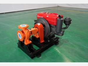 <span class=keywords><strong>Pompe</strong></span> centrifuge durable à moteur diesel haute efficacité 15 CV, monophasée, à aspiration axiale, garantie 3 ans pour petites exploitations agricoles - Product Image 5