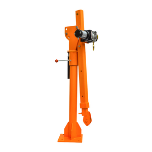 Mini <span class=keywords><strong>grúa</strong></span> eléctrica de elevación, 500/1000kg, <span class=keywords><strong>grúa</strong></span> de coche <span class=keywords><strong>para</strong></span> recoger productos, brazo de <span class=keywords><strong>grúa</strong></span> de fabricante - Product Image 5