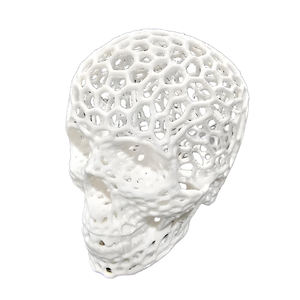 3D Impresso Plástico Oco Crânio Modelo Adulto Humano Cabeça Osso Halloween Decoração de Casa Estátua Novidade & Mordaça Brinquedo - Product Image 1