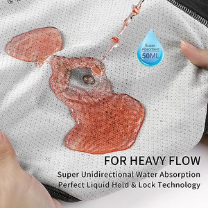 Hersteller Custom Leak Proof Menstruation höschen Wieder verwendbare Periode Höschen für Frauen Mädchen Teenager - Product Image 2