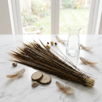 Plumes de faisan doré naturelles, teintes directement, brutes, de 25 à 70 cm, en gros, pour décorations de carnaval et de fête