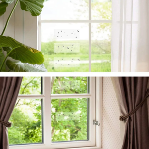 Ventes d'usine Transparent Fenêtre Mouche Colle Piège Maison Volant Tueur <span class=keywords><strong>Lady</strong></span> Bug Pièges Intérieur - Product Image 6