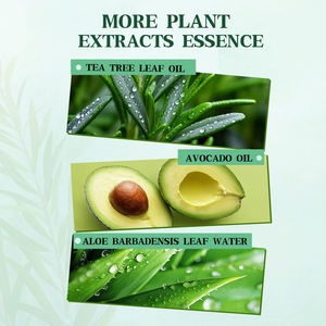 Après-shampoing Rafraîchissant au Théier pour le Cuir Chevelu, Masque Capillaire Anti-Pelliculaire, Soin Profond, Marque Privée OEM, Usine Greenlem - Product Image 4