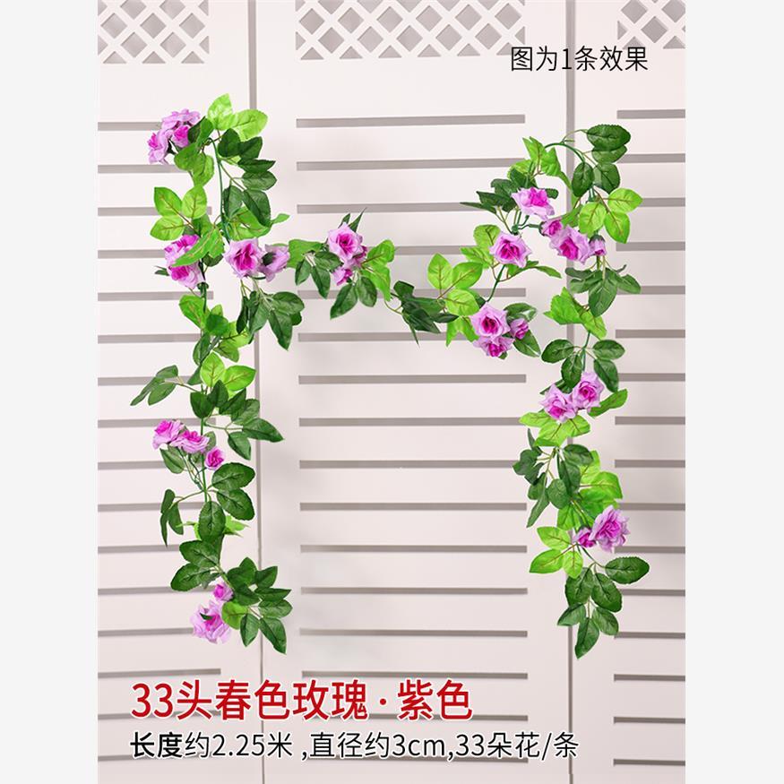 [Violet 1] Vigne rose à 33 têtes