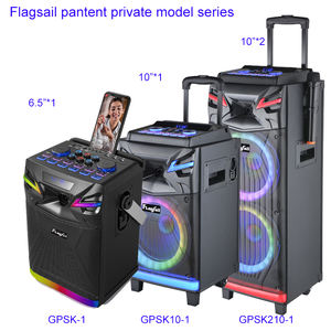 Nuevo Equipo <span class=keywords><strong>de</strong></span> Karaoke Portátil DSP y Altavoz para Reuniones con Micrófono Inalámbrico, Luces LED RGB V5.3, Woofer <span class=keywords><strong>de</strong></span> 10 Pulgadas y <span class=keywords><strong>Cambio</strong></span> <span class=keywords><strong>de</strong></span> Voz - Product Image 6