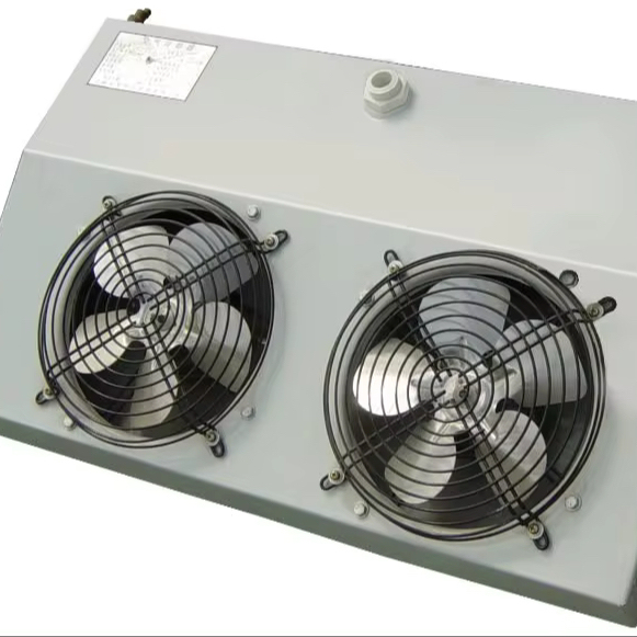 DE Evaporator for Cold Room Storage