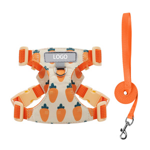 Cute Cartoon Printed Mesh Dog <b>Harness</b> Leash Set Breathable <b>No</b>‑Pull Adjustable Pet Vest For Small Puppy Multiple Patterns - Product Image 4
