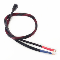 Câble d'alimentation IEC C14 résistant aux hautes températures, faisceau de câbles tressé de 6 mm² avec gaine de protection pour équipement de stockage d'énergie