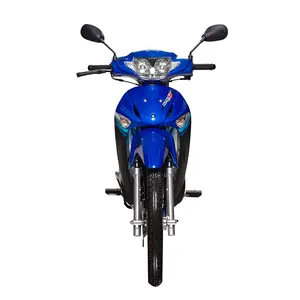 厂家直销全新汽油制造商中国摩托车YFY110-1宗盛发动机幼崽摩托车
