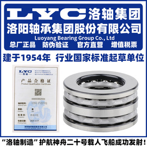 Rodamiento de Rodillos Cilíndricos Lyc 52428 de Una Hilera para Planta de Fabricación - Product Image 2