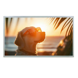 Écran LCD TFT de 18,5 pouces avec résolution 1920x1080, interface LVDS, 500 nits - Product Image 1