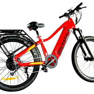 Steamoon 1000w 전기 자전거 성인 27.5 ''산악 ebike 리튬 이온 배터리 이동식 전기 자전거